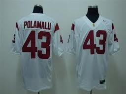 Polamalu USC Trojans white jersey