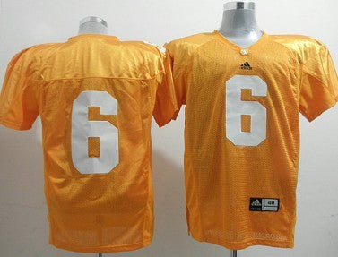Denarius Moore Tennessee Volunteers orange jersey