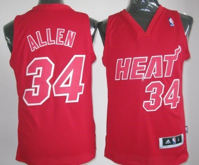 Ray Allen Revolution Miami Heat red jersey