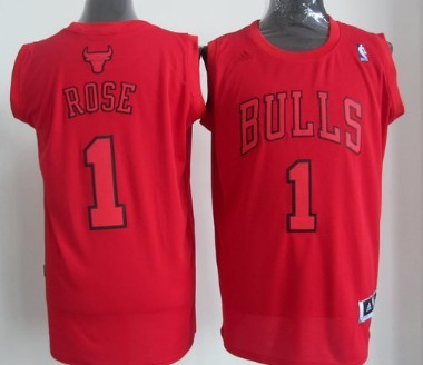 Derrick Rose Revolution Chicago Bulls red jersey