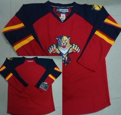 Custom Florida Panthers red jersey