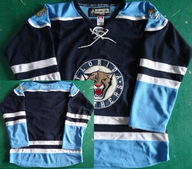 Custom Florida Panthers blue Third jersey