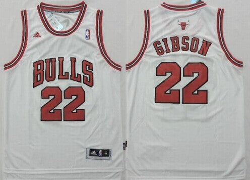 Taj Gibson Revolution Chicago Bulls white jersey