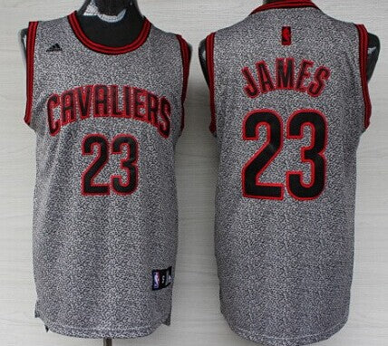 LeBron James Cleveland Cavaliers gray Fashion Static jersey