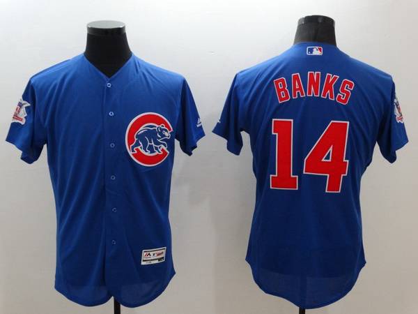 Ernie Banks Chicago Cubs blue jersey