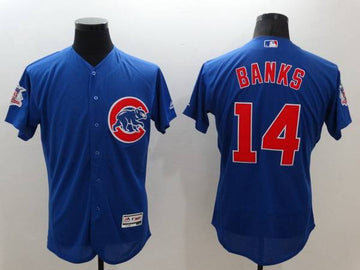 Ernie Banks Chicago Cubs blue jersey