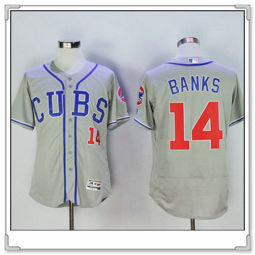 Ernie Banks Chicago Cubs gray jersey