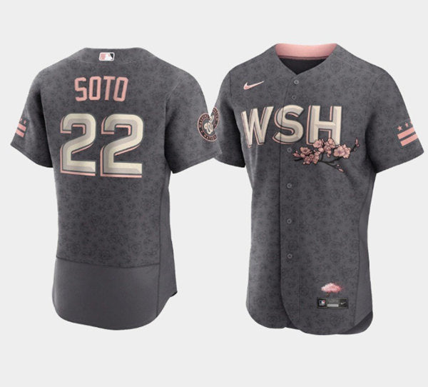 Juan Soto Washington Nationals gray City Connect jersey