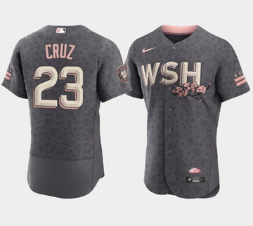 Nelson Cruz Washington Nationals gray City Connect jersey