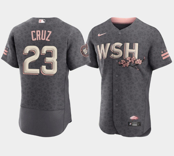 Nelson Cruz Washington Nationals gray City Connect jersey