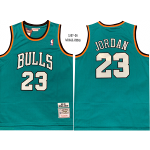 NBA Chicago Bulls green jersey