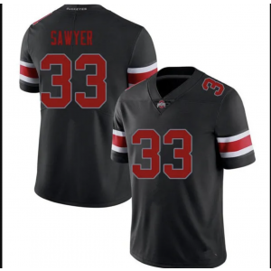 NCAA Ohio State Buckeyes black Vapor jersey