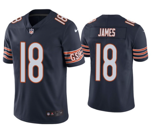 Nike Chicago Bears navy Vapor jersey