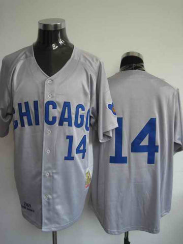 Banks Chicago Cubs grey jersey