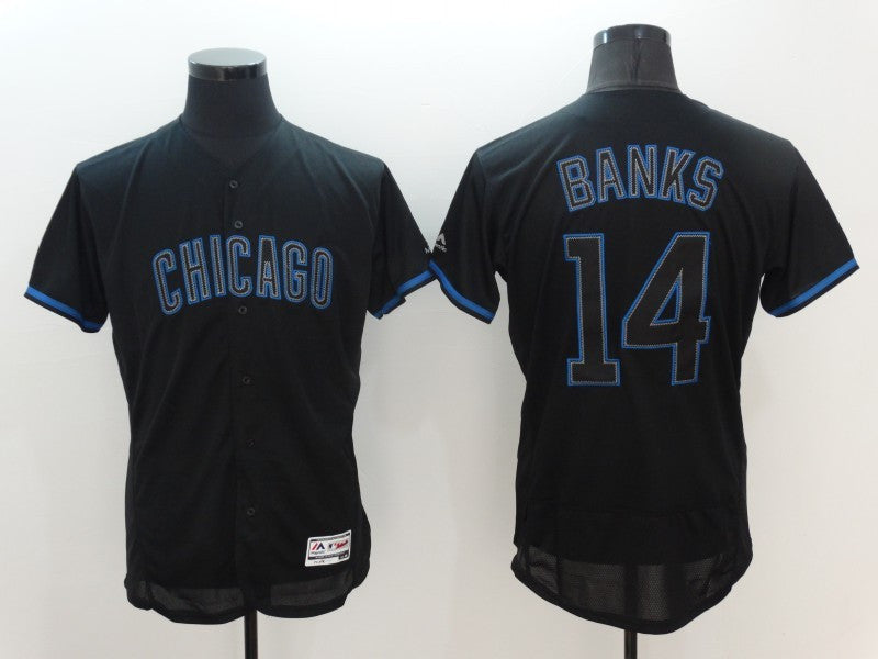 Ernie Banks Chicago Cubs black Fashion jersey