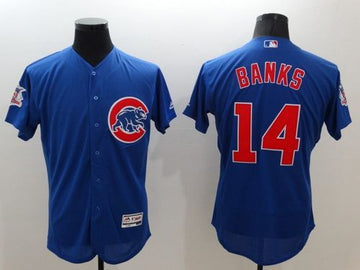 Ernie Banks Chicago Cubs blue Authentic jersey
