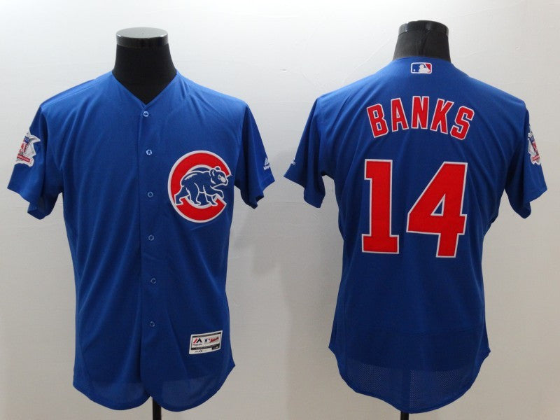 Ernie Banks Chicago Cubs blue jersey