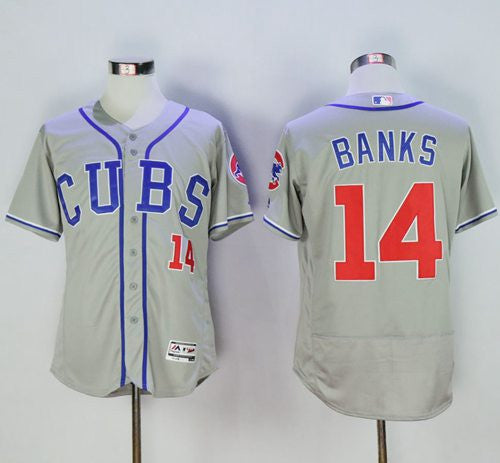 Ernie Banks Chicago Cubs grey Alternate jersey