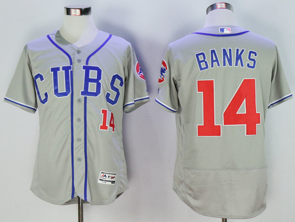 Ernie Banks Chicago Cubs grey jersey