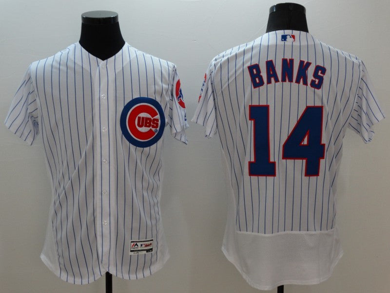 Ernie Banks Chicago Cubs white jersey