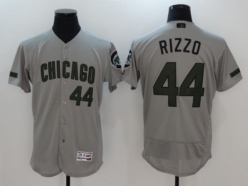 Anthony Rizzo Chicago Cubs gray jersey