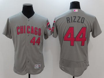 Anthony Rizzo Chicago Cubs gray jersey