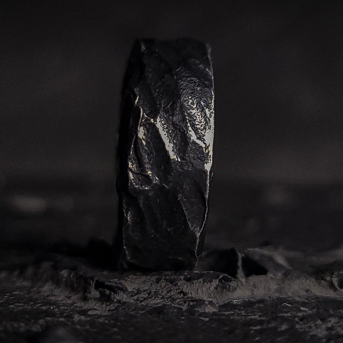 Viking Ring - Hand Forged Viking Ring