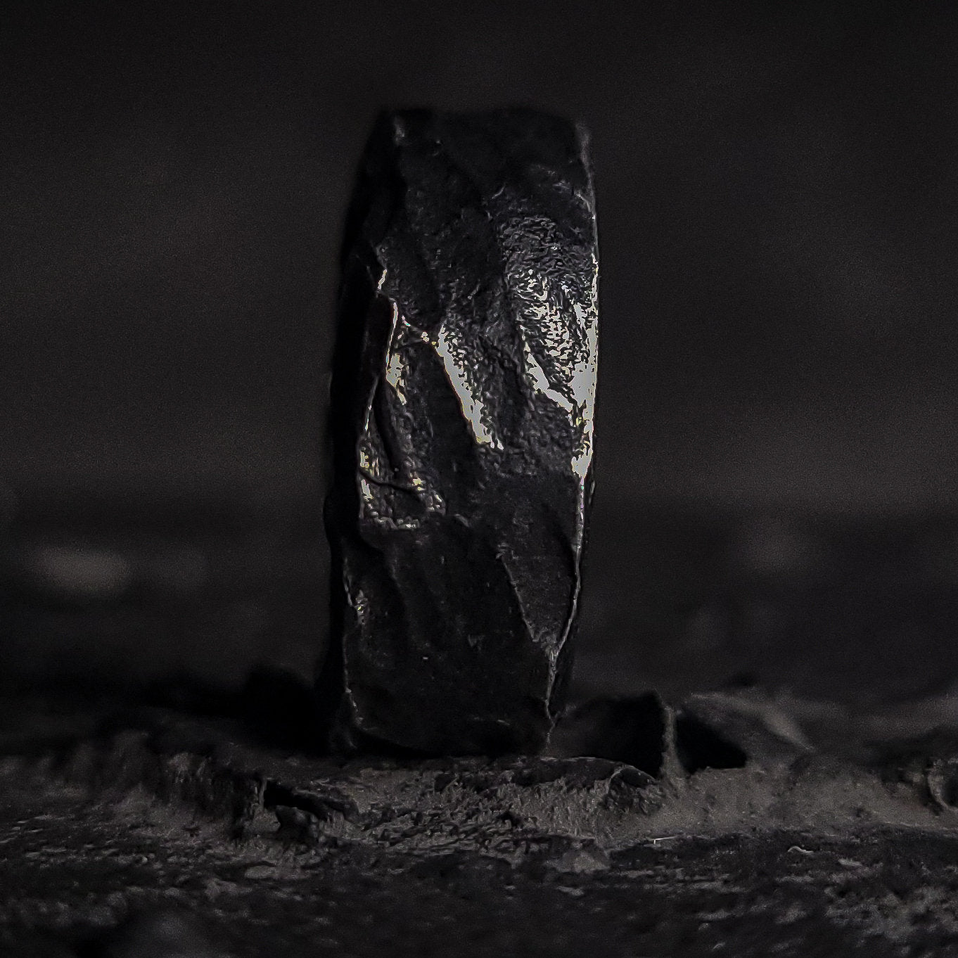 Viking Ring - Hand Forged Viking Ring