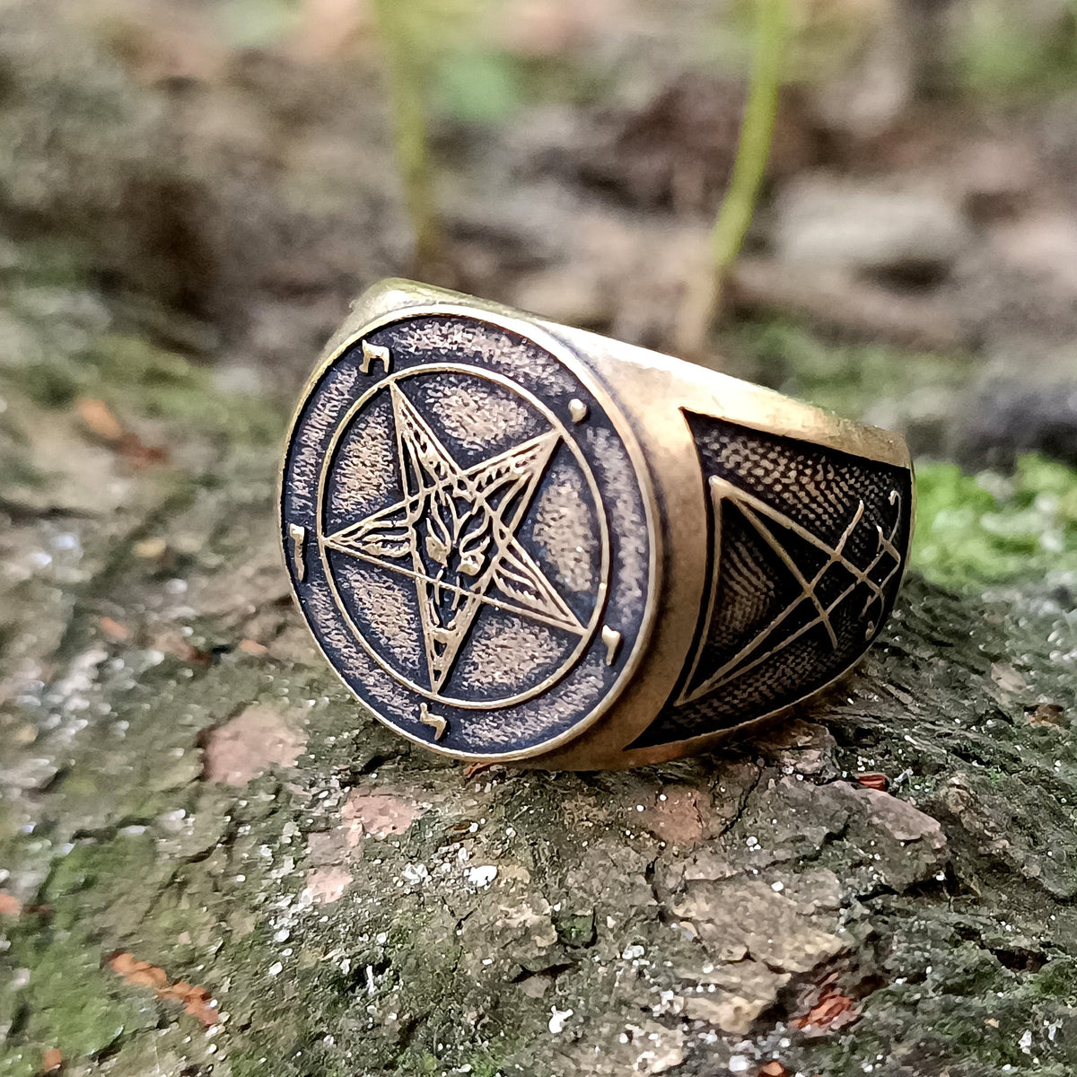 Viking Raven Ring - Raven ring Viking jewelry signet rings for men Norse mythology Ancient jewelry