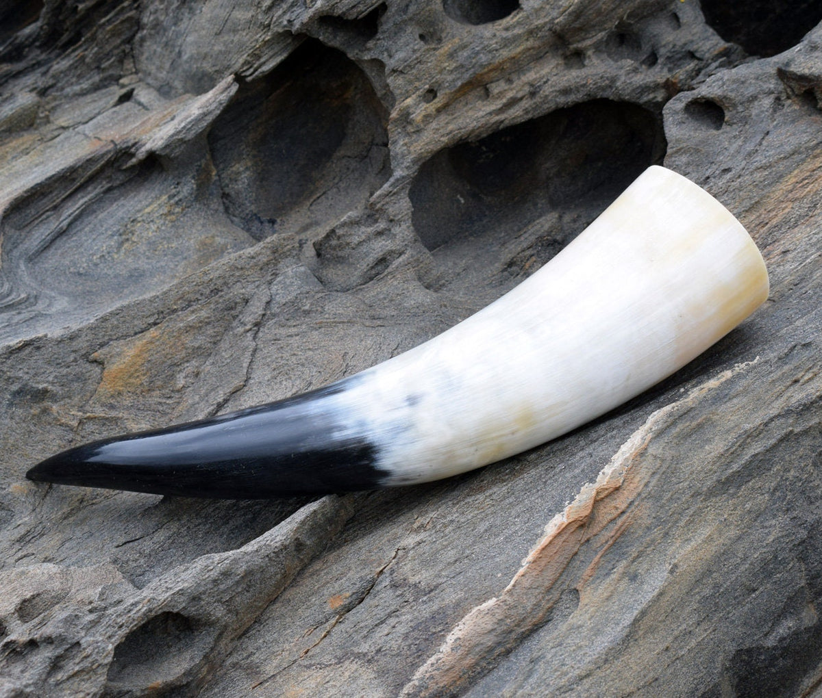 Viking Mug - Viking Drinking Horn, LARP Cup, Mead Horn, Medieval Gift for Men