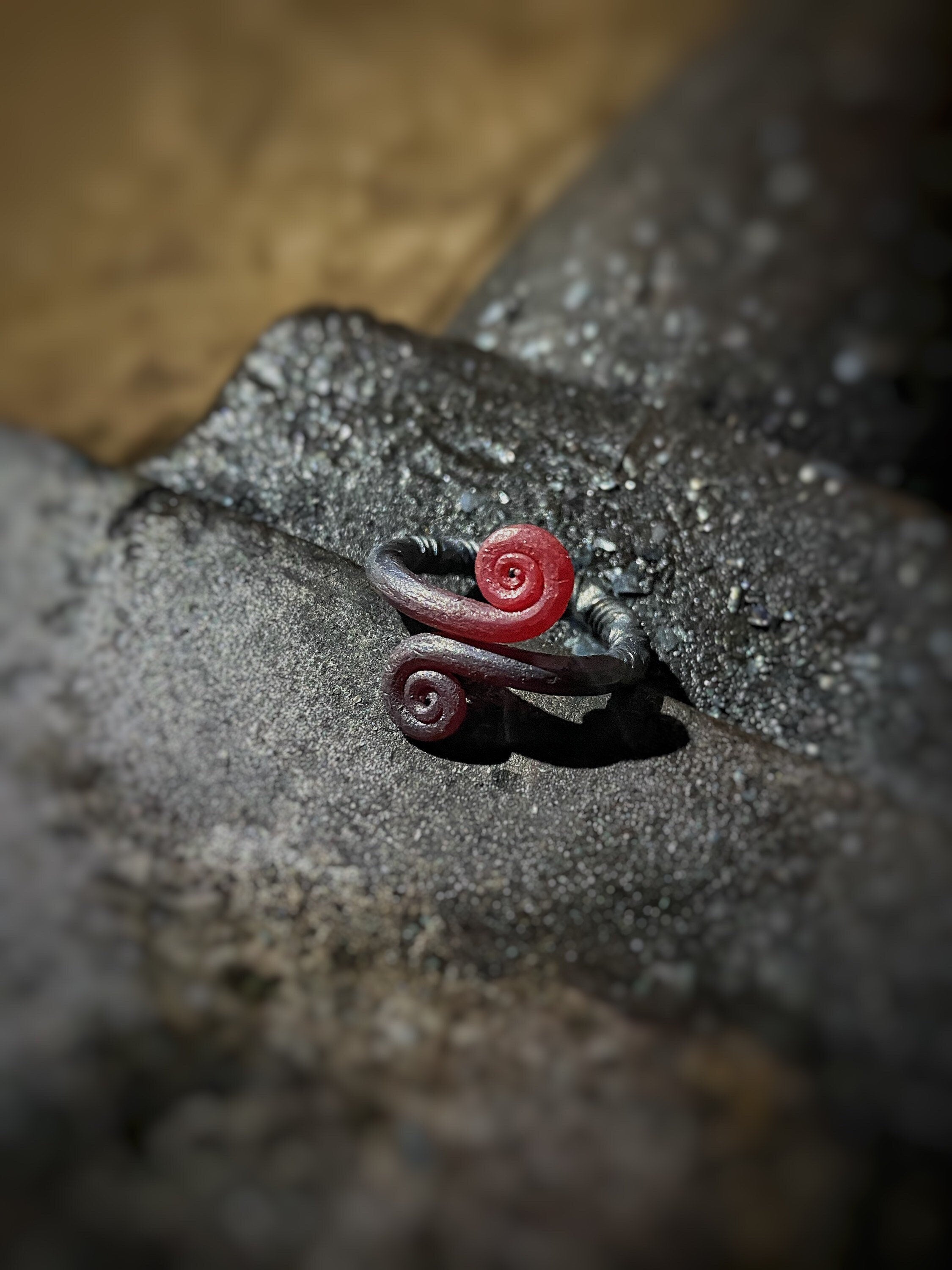 Viking Ring - Iron Viking ring, Norse ring, infinity ring, Viking jewelry
