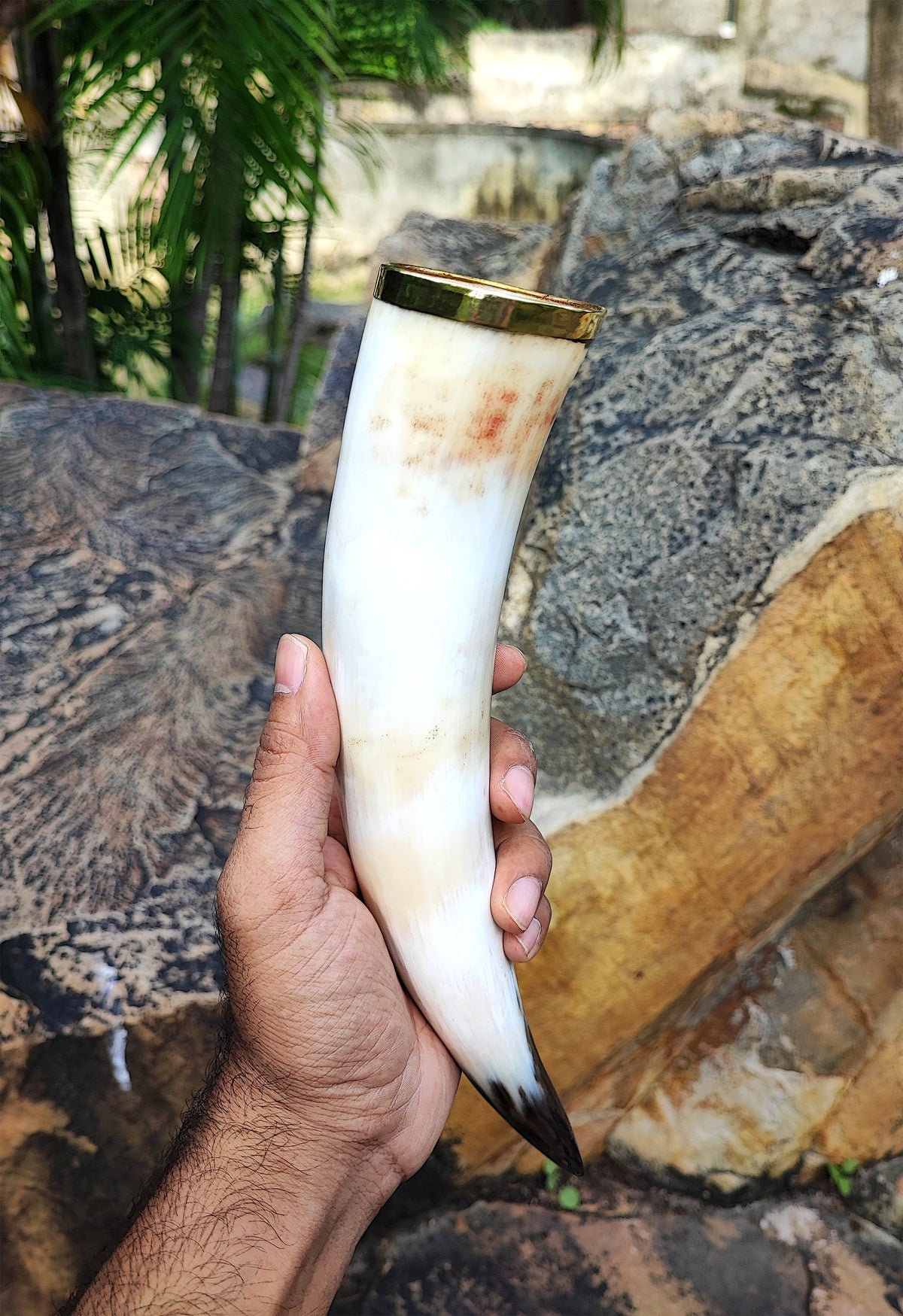 Viking Mug - Viking Buffalo Horns With Stand, Genuine Medieval Tankard, Ale Mead Beer Cups, Best