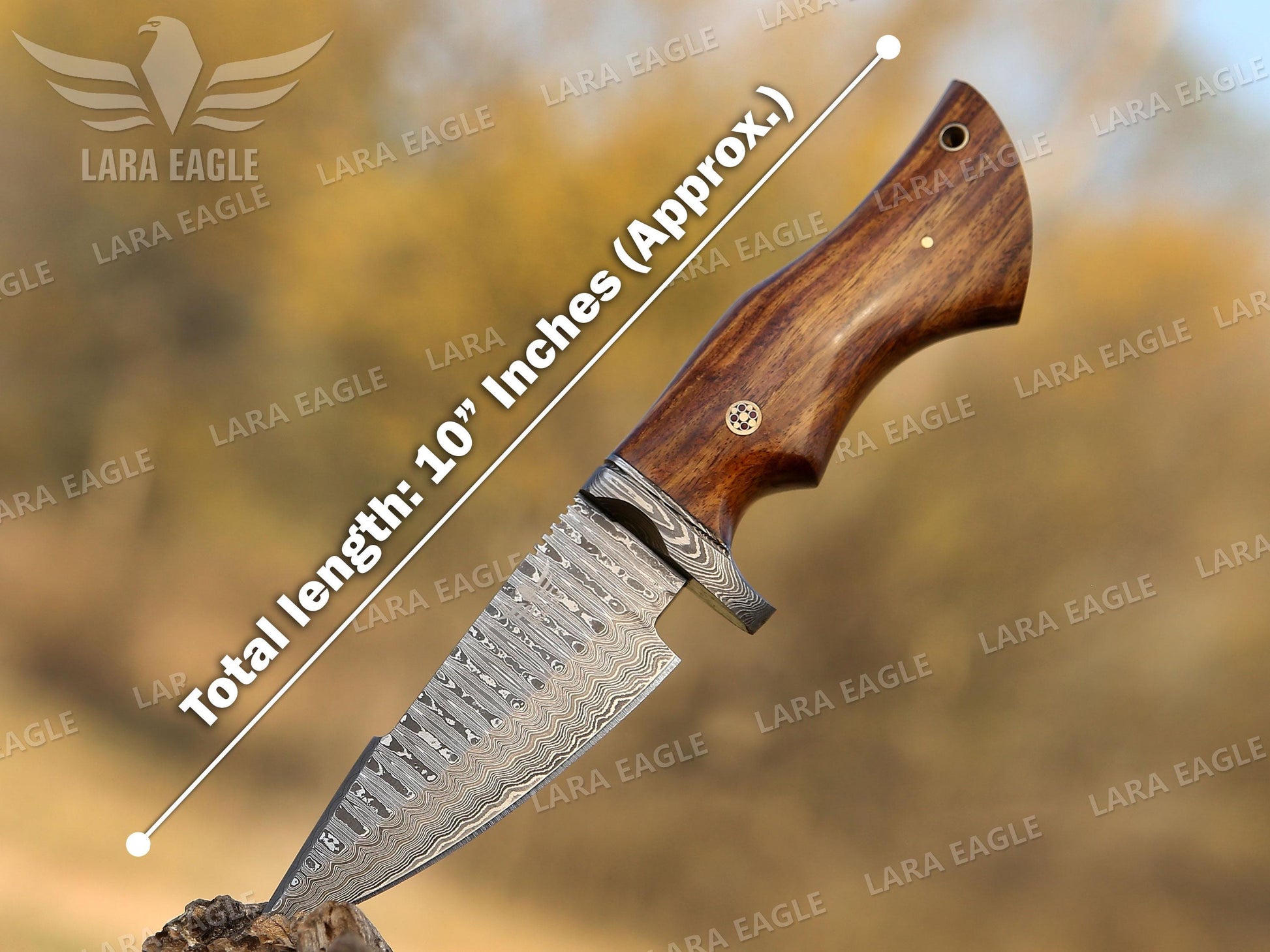 Viking Weapon Replica - Viking Forged Axe, Hatchet, Hand Forged Carbon Steel Viking Axe, Ragnar