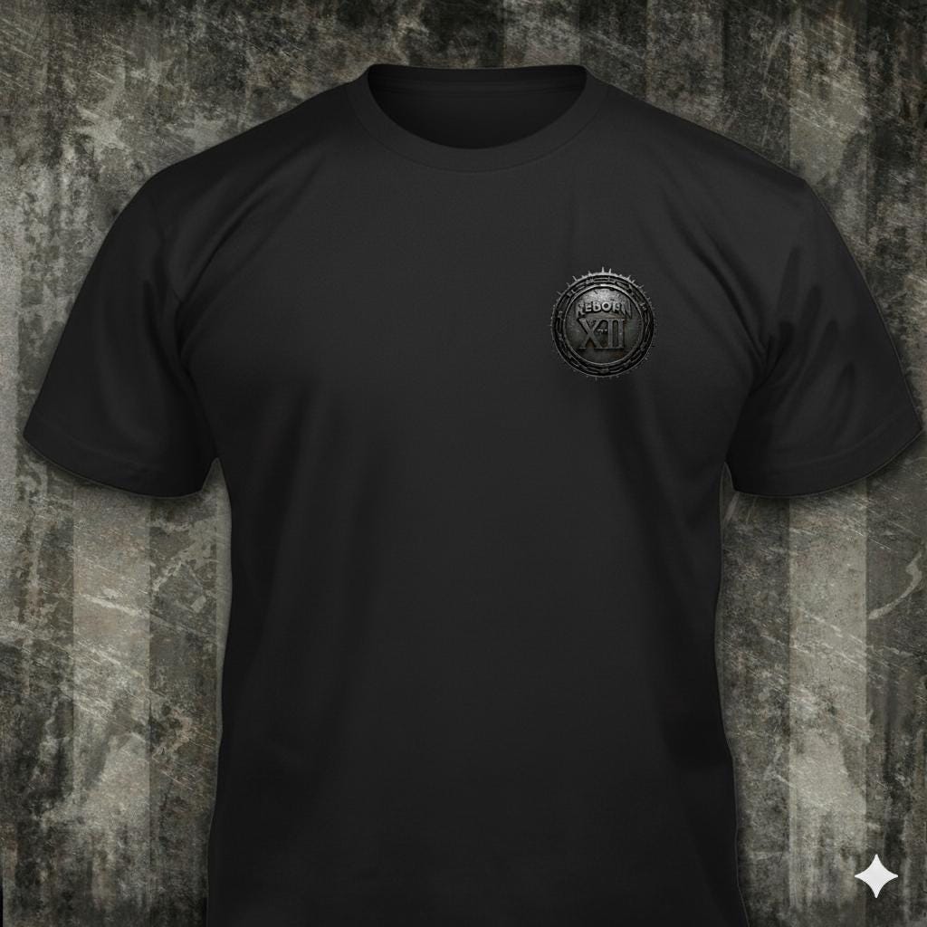 Viking Valhalla T-Shirt - Victory Or Valhalla - Distressed American Viking Skull T-Shirt: Patriotic