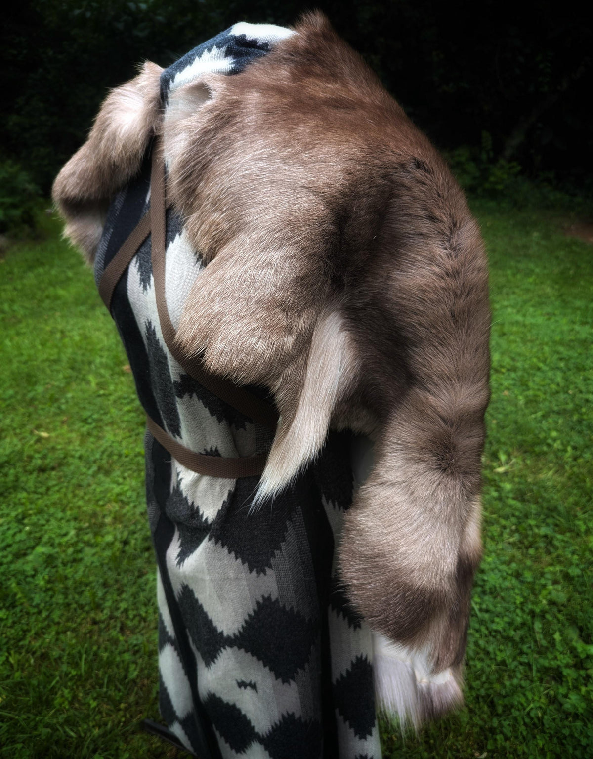 Viking Odin Jacket - Odin Raven Cloak, Norse Viking Cloak, Huginn Muninn Raven Cloak, Nordic