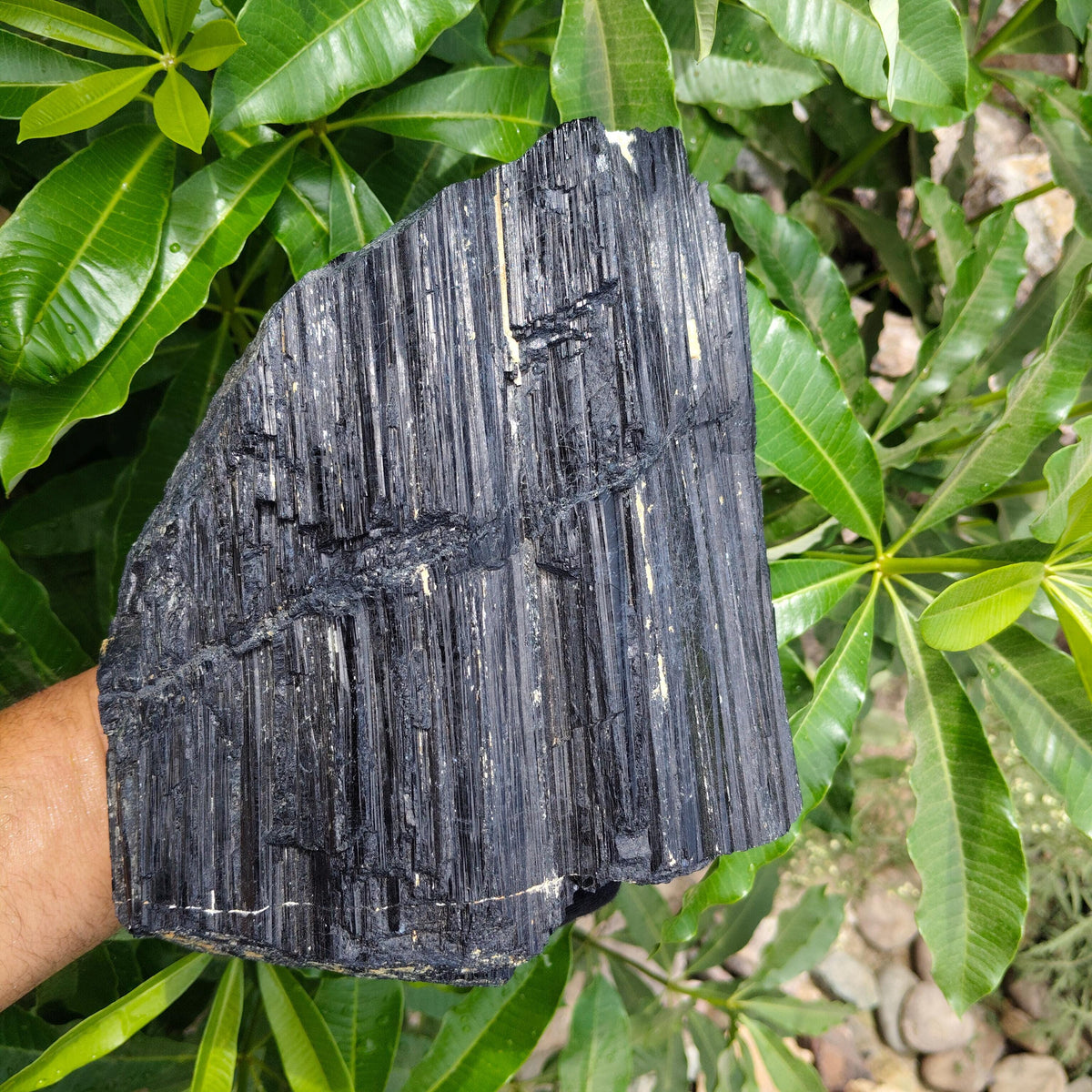 Viking Home Decor - Large Raw Black Baltic Flint Stone, Aquascape Centerpiece, Viking History