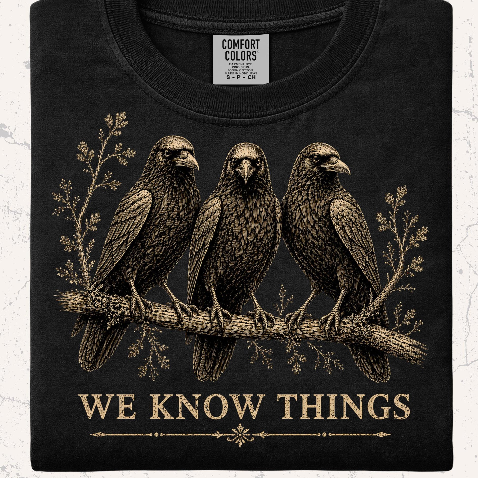 Viking Odin T-Shirt - Odin's Ravens Shirt, Viking Mythology Crow Tee, Garment Dyed Relaxed Fit
