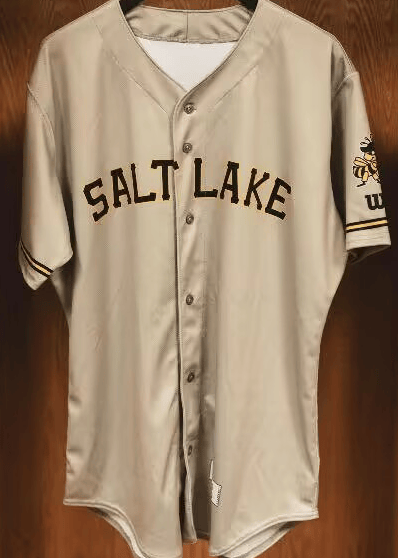 Custom Salt Lake Bees brown jersey