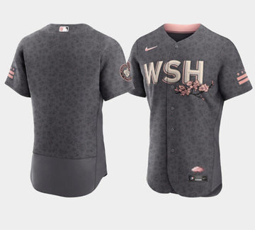 Custom Washington Nationals gray City Connect jersey