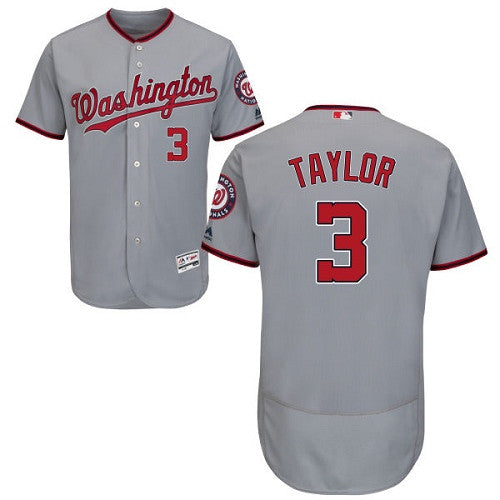 Michael Taylor Washington Nationals gray jersey