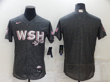 Custom Washington Nationals gray City Connect jersey