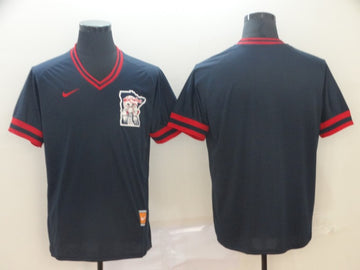 Custom Minnesota Twins navy Throwback jersey